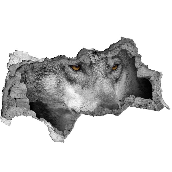 Dziura 3d fototapeta na ścianę naklejka Wilk