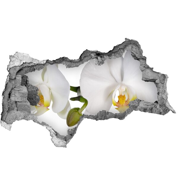 Samoprzylepna naklejka fototapeta Kwiaty orchidei w betonie
