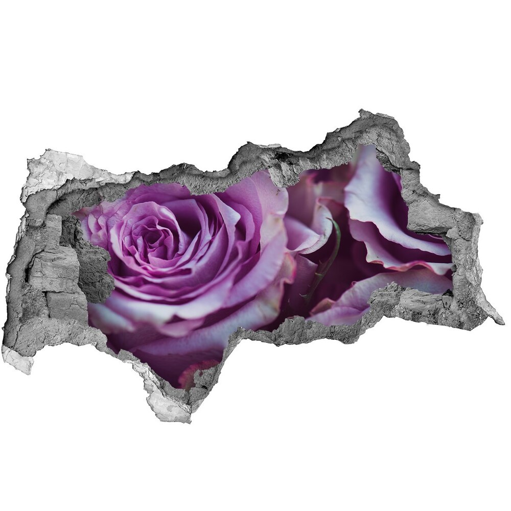 Fototapeta naklejka na ścianę Fioletowe róże