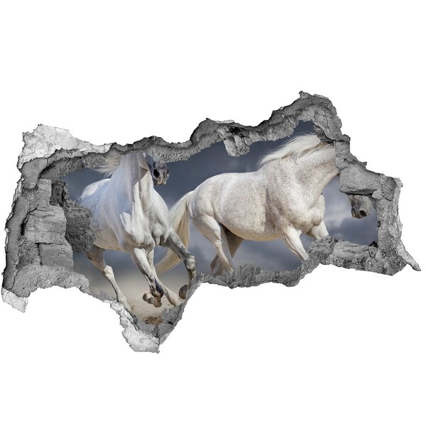 Dziura 3d fototapeta na ścianę Białe konie plaża