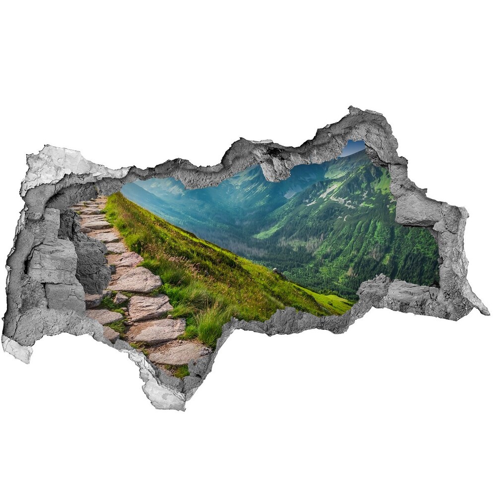 Dziura 3d w ścianie naklejka Ścieżka w Tatrach
