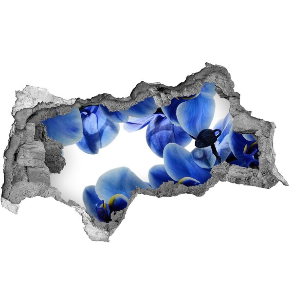 Fototapeta naklejka na ścianę Kwiatowy raj za ścianą