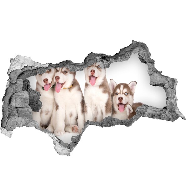 Dziura 3d fototapeta naklejka Szczeniaki Husky