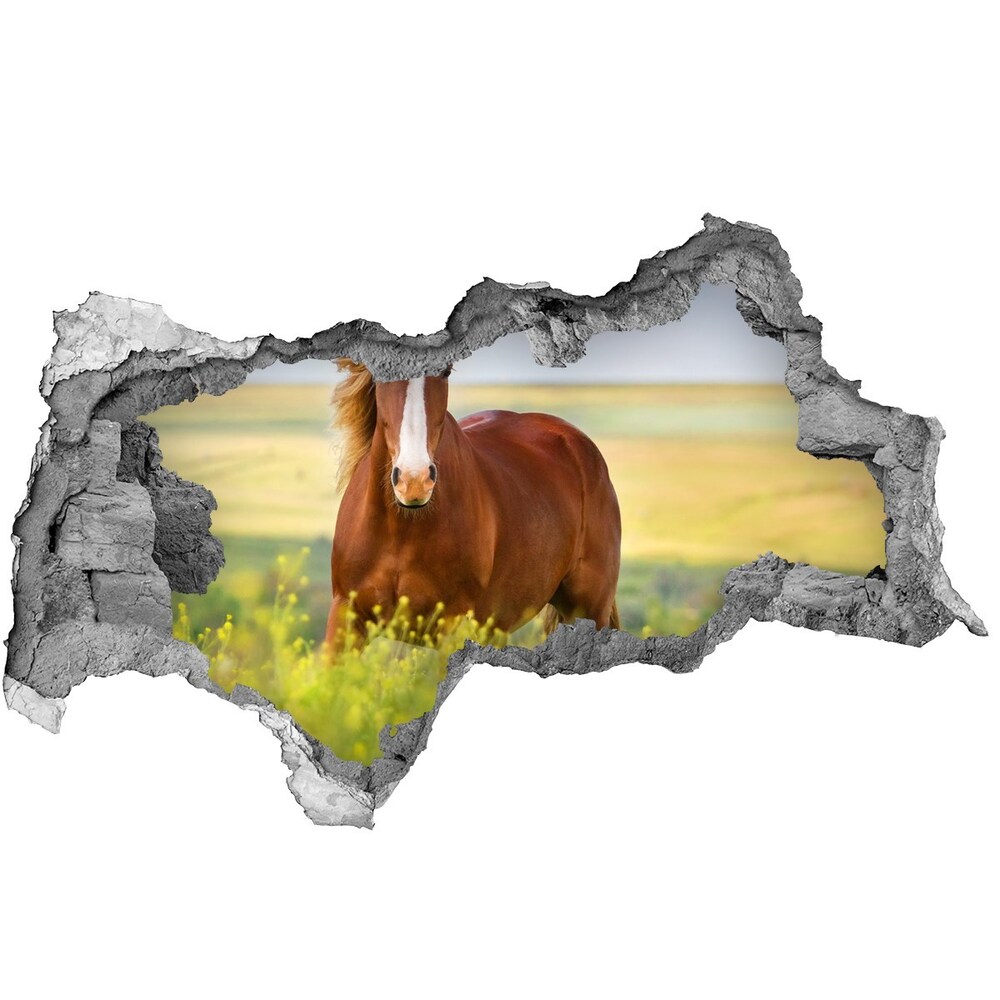 Dziura 3d fototapeta naklejka Brązowy koń
