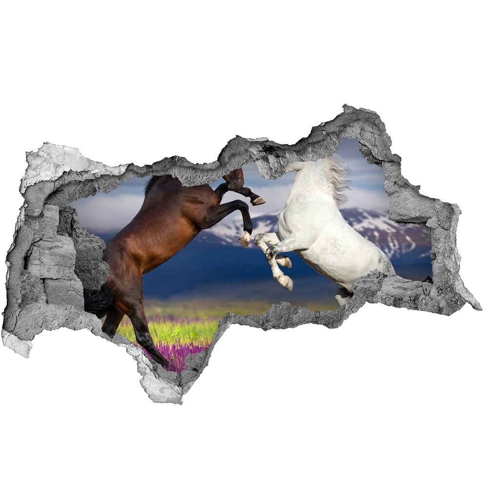 Dziura 3d fototapeta na ścianę Walczące konie góry