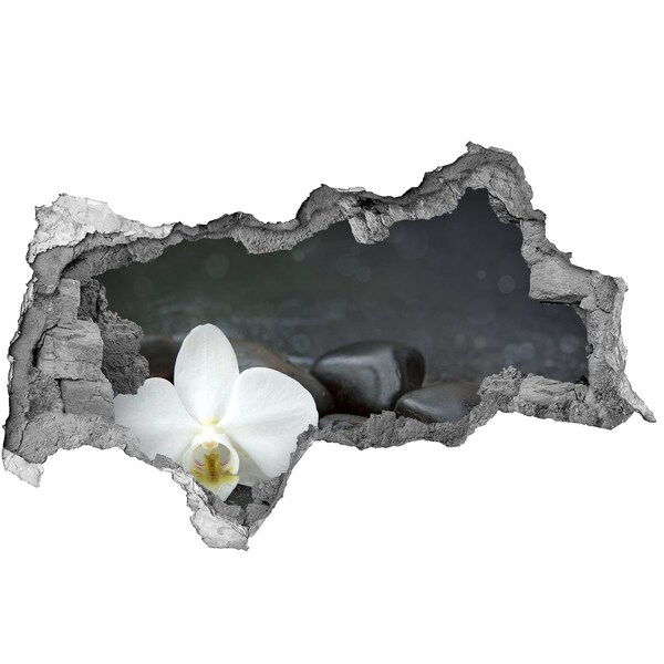 Samoprzylepna naklejka fototapeta Orchidea