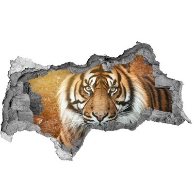 Dziura 3d fototapeta na ścianę Tygrys bengalski