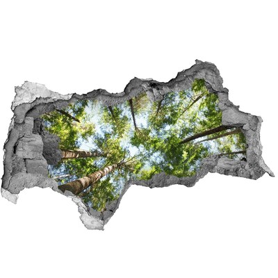 Dziura 3d w ścianie na ścianę Widok na las z niebieskim niebem