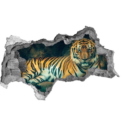 Dziura 3d fototapeta naklejka Tygrys w jaskini