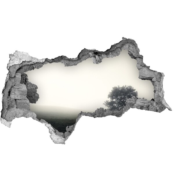 Dziura 3d w ścianie naklejka Mglista polana z samotnym drzewem