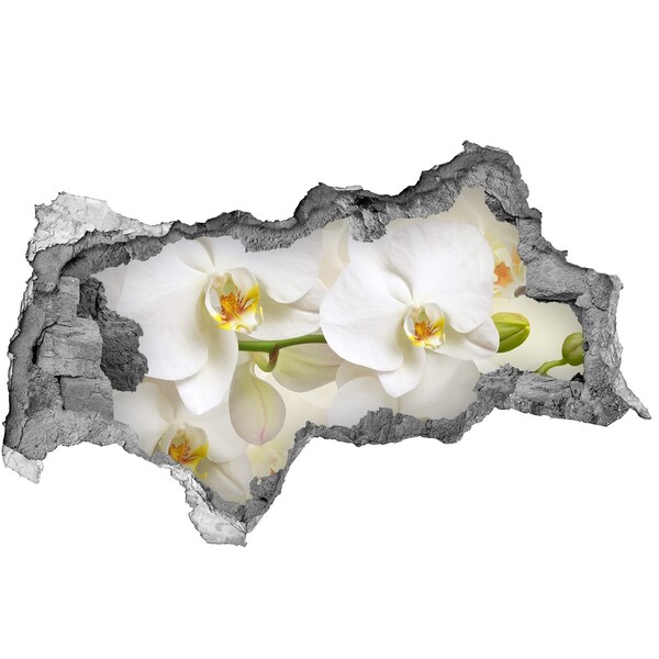 Samoprzylepna naklejka fototapeta Orchidea