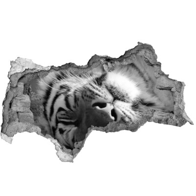 Dziura 3d fototapeta naklejka Śpiący tygrys