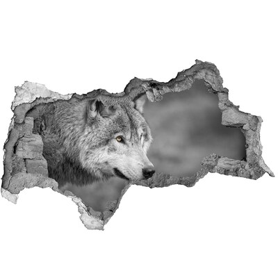 Dziura 3d fototapeta na ścianę Szary wilk
