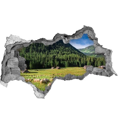 Dziura 3d w ścianie na ścianę Owce w Tatrach