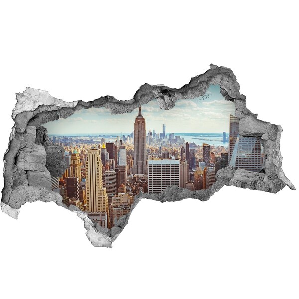 Fototapeta dziura na ścianę 3d Nowy Jork lot ptaka