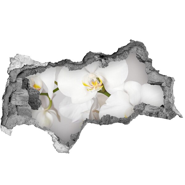 Samoprzylepna naklejka na ścianę Orchidea