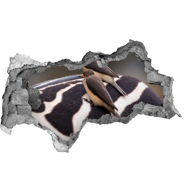 Dziura 3d fototapeta naklejka Ptaki i zebra