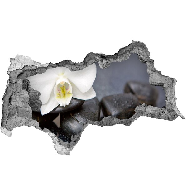Samoprzylepna naklejka fototapeta Orchidea