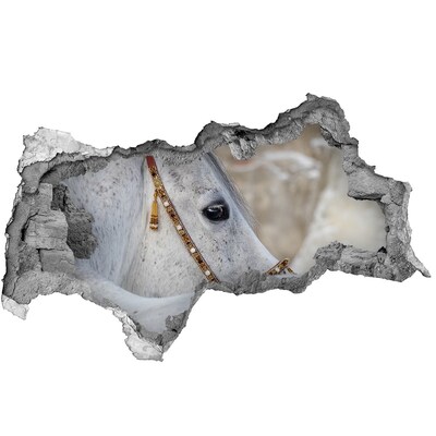 Dziura 3d fototapeta naklejka Biały koń arabski