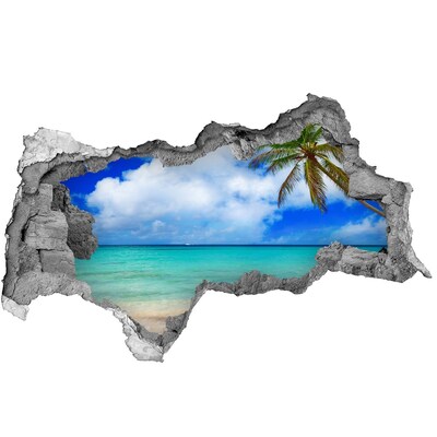 Dziura 3d w ścianie naklejka Karaiby plaża