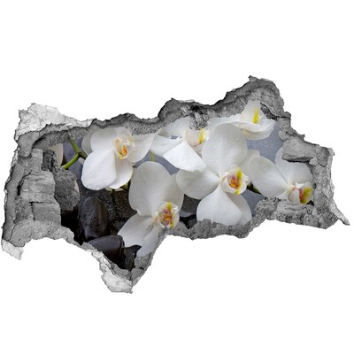 Samoprzylepna naklejka fototapeta Kwiaty orchidei w wodzie