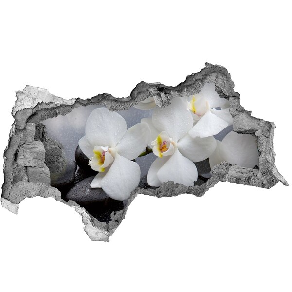 Samoprzylepna naklejka fototapeta Orchidee w betonie