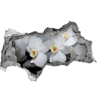 Samoprzylepna naklejka fototapeta Orchidee w betonie