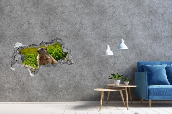 Dziura 3d fototapeta naklejka Świstak tatrzański