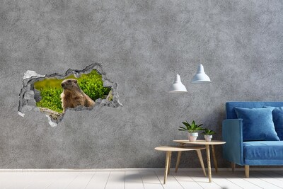 Dziura 3d fototapeta naklejka Świstak tatrzański