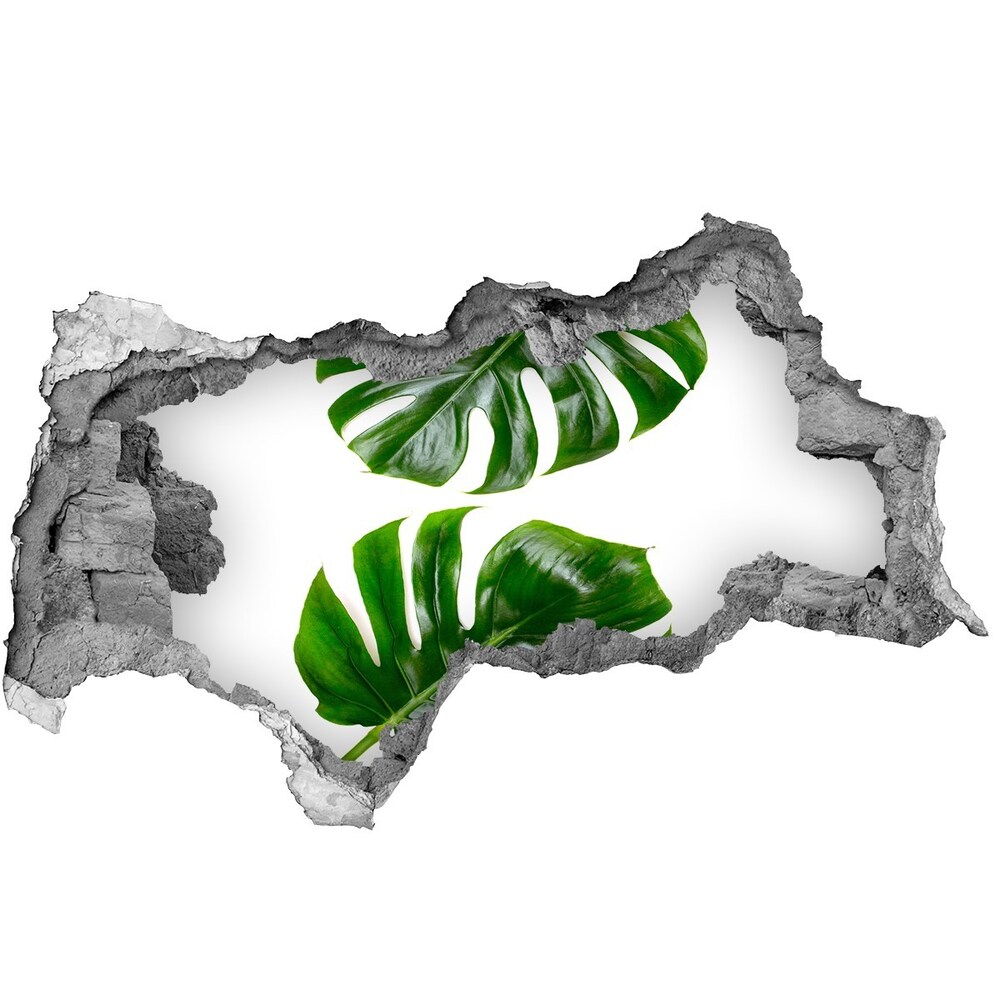 Naklejka 3D dziura beton Tropikalne liście