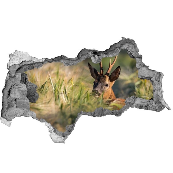 Dziura 3d fototapeta na ścianę Jeleń w polu