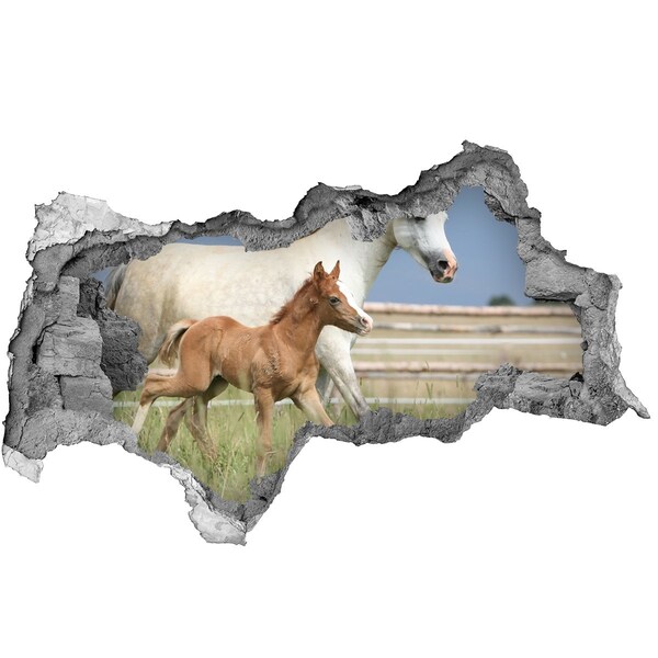 Dziura 3d fototapeta na ścianę Klacz ze źrebięciem