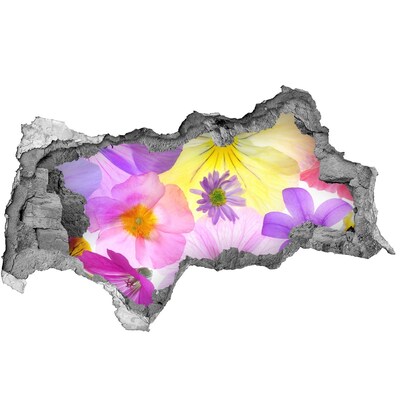 Samoprzylepna naklejka fototapeta Kwiatowy raj przez dziurę w ścianie