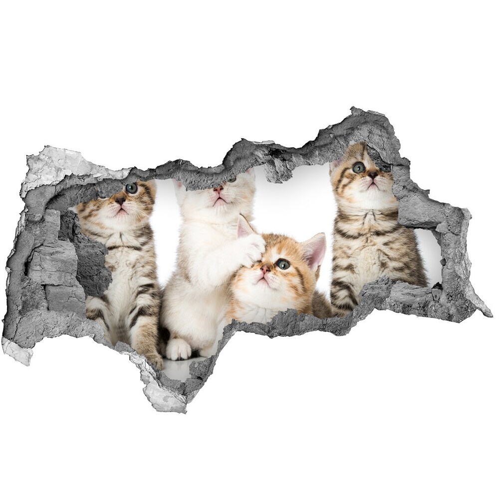 Dziura 3d fototapeta ścienna Naklejka Małe koty