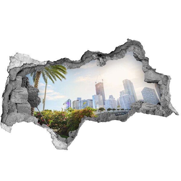 Fototapeta dziura na ścianę 3d Miami USA