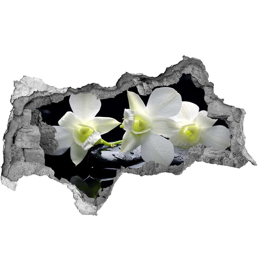 Samoprzylepna naklejka fototapeta Orchidea
