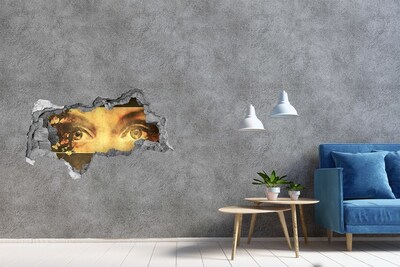 Fototapeta dziura na ścianę Oczy i motyle