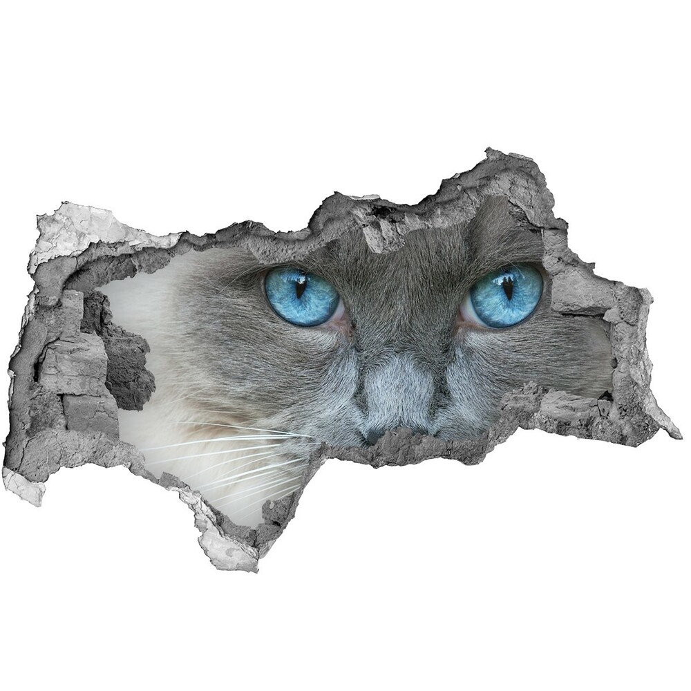 Dziura 3d fototapeta na ścianę Kot niebieskie oczy