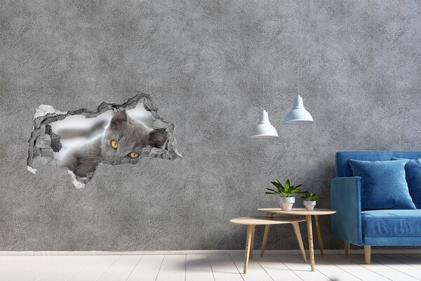 Dziura 3d fototapeta naklejka Szary kot w dziurze w ścianie