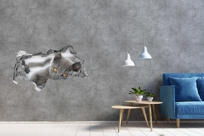 Dziura 3d fototapeta naklejka Szary kot w dziurze w ścianie