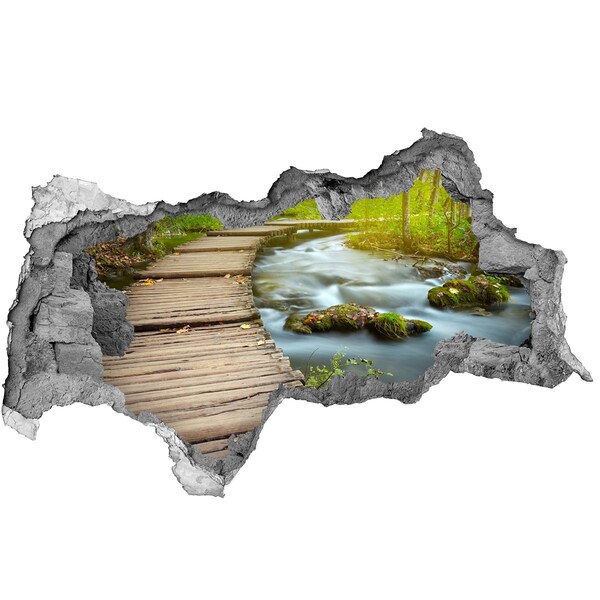 Dziura 3d w ścianie naklejka Ścieżka nad rzeką