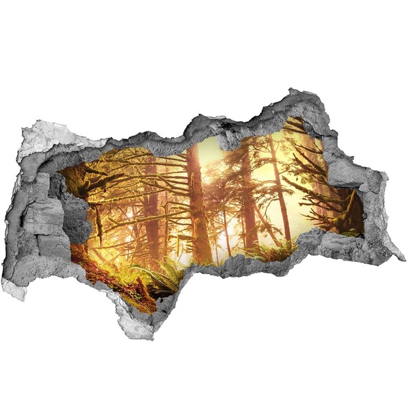 Dziura 3d w ścianie naklejka Leśna oaza w promieniach słońca