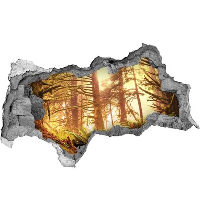 Dziura 3d w ścianie naklejka Leśna oaza w promieniach słońca