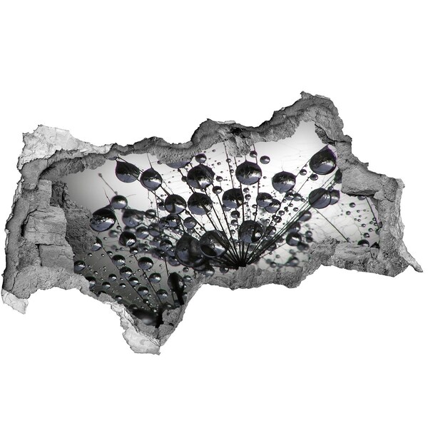 Samoprzylepna dziura naklejka Krople wody na dmuchawcu