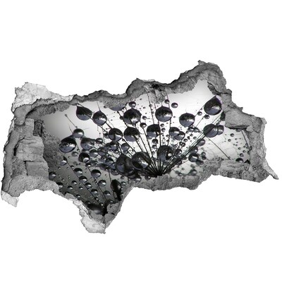 Samoprzylepna dziura naklejka Krople wody na dmuchawcu