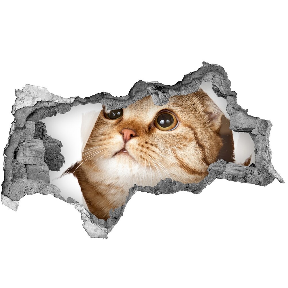 Dziura 3d fototapeta na ścianę naklejka Kot