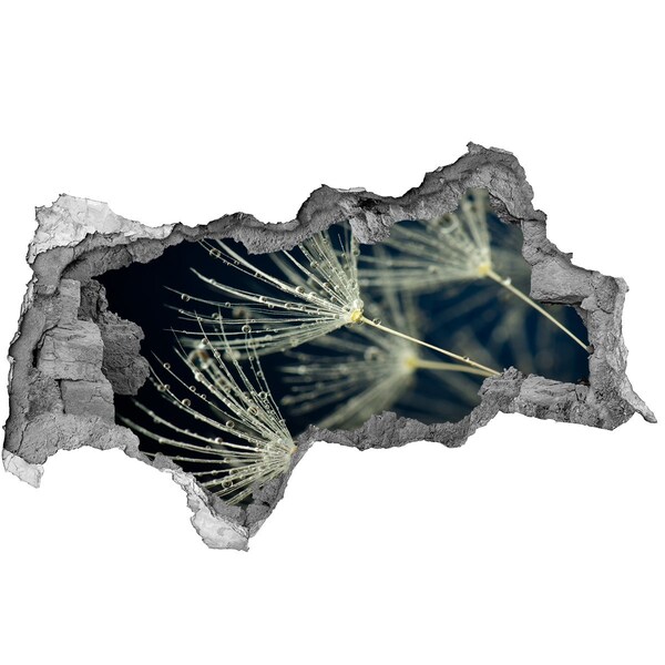 Samoprzylepna dziura naklejka Kwiaty dmuchawca w wodzie