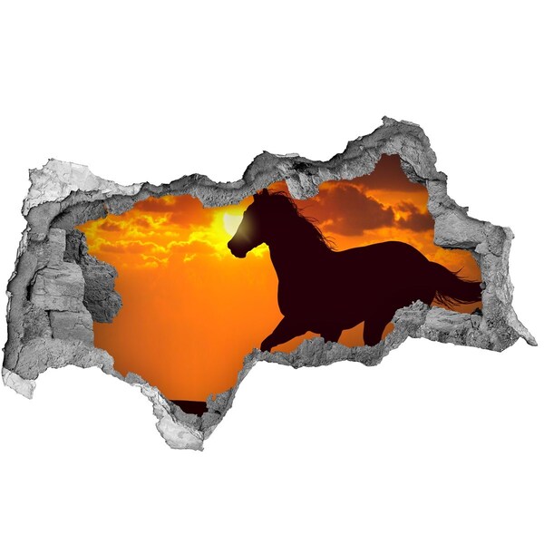 Dziura 3d fototapeta na ścianę Koń na zachodzie słońca