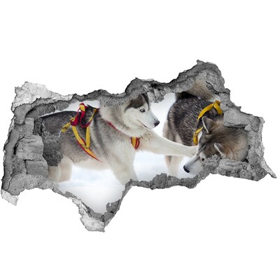 Dziura 3d fototapeta na ścianę Husky zimą