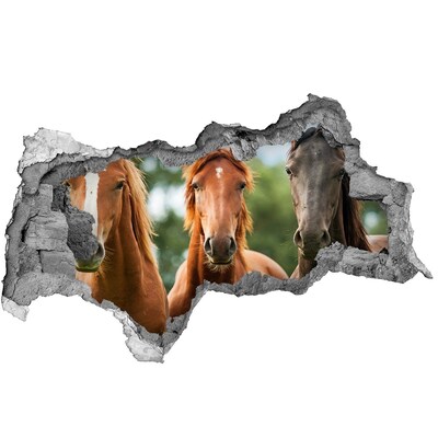 Dziura 3d fototapeta na ścianę Trzy konie